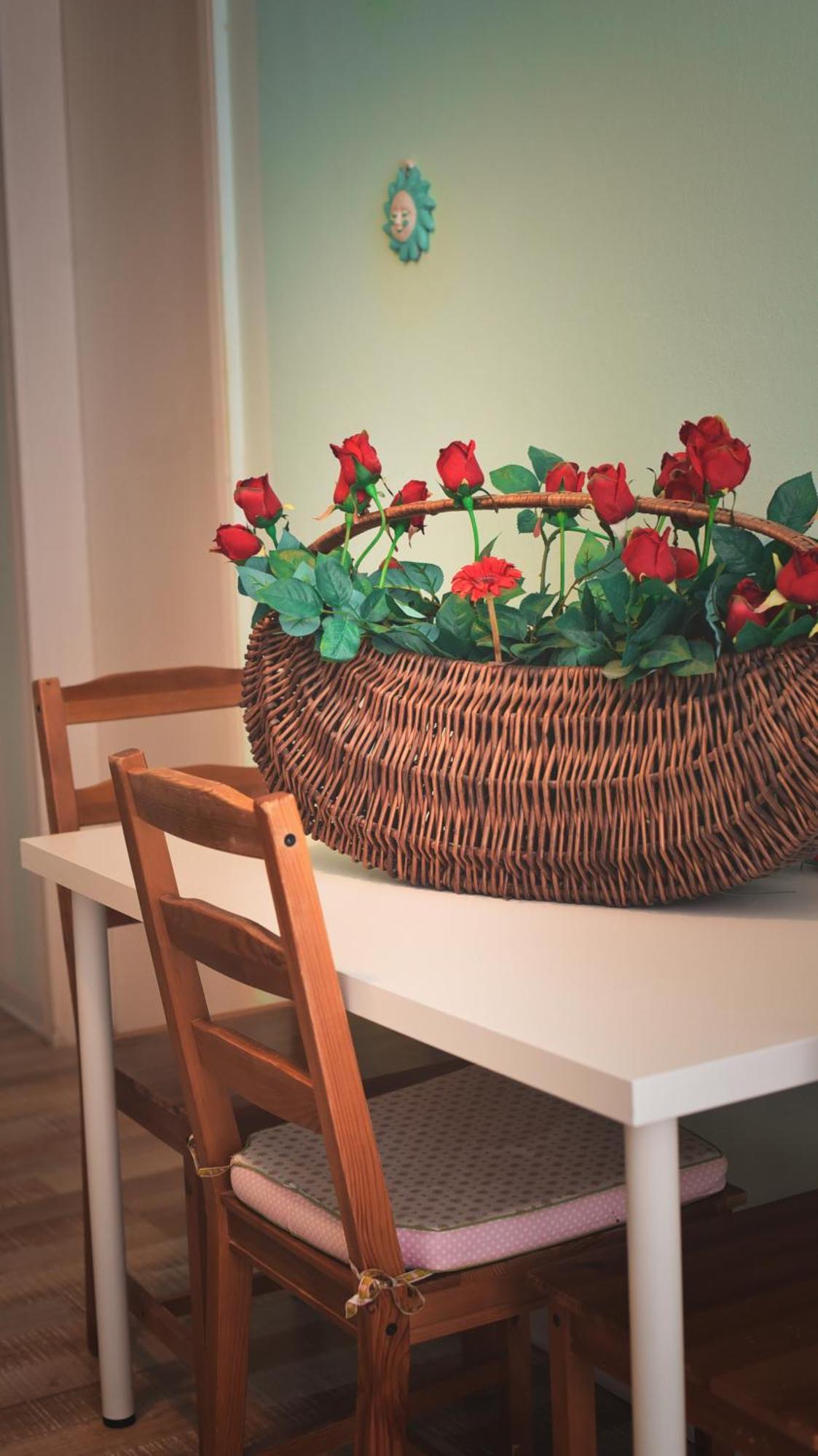 Barcolana Lodge - Hostel Трієст Екстер'єр фото